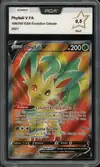 PCA 9.5 Phyllali V thumbnail 1