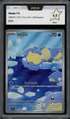 PCA 9.5 Obalie thumbnail 1