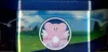 Pokébox EB10.5 Pokémon Go thumbnail 5