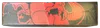 Premium Collection Box Charizard 25th Anniversary thumbnail 2