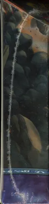Deck Diamant et Perle Tempête Ravages Obscurs thumbnail 3