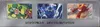 Display SV11B Black Bolt thumbnail 6
