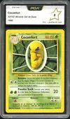 PCA 8 Coconfort thumbnail 1