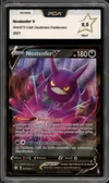 PCA 9.5 Nostenfer V thumbnail 1