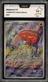PCA 9.5 Aflamanoir thumbnail 1