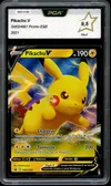 PCA 9.5 Pikachu V thumbnail 1