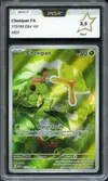 PCA 9.5 Chenipan thumbnail 1