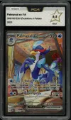 PCA 9.5 Palmaval Ex thumbnail 1