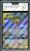 PCA 9.5 Brindibou et Noadkoko d’Alola Gx thumbnail 1
