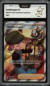 PCA 9.5 Ornithologue thumbnail 1