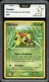 PCA 9 Chenipan thumbnail 1