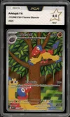 PCA 9.5 Arkéapti thumbnail 1