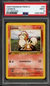 PSA 9 Caninos thumbnail 1