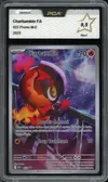 PCA 9.5 Charbambin thumbnail 1
