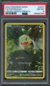 PSA 8 Tortipouss thumbnail 1