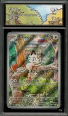 CA 9.5 Miaouss thumbnail 1
