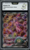 PCA 9.5 Mentali V thumbnail 1