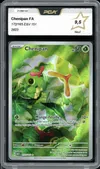 PCA 9.5 Chenipan thumbnail 1