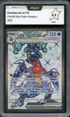 PCA 9.5 Carchacrok Ex thumbnail 1