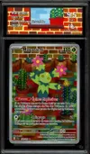CA 9.5 Maracachi thumbnail 1