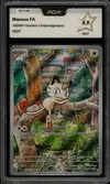 PCA 9.5 Miaouss thumbnail 1