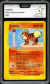PCA 9 Caninos thumbnail 1