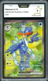 PCA 9 Palmaval Ex thumbnail 1