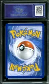 CA 9.5 Zorua de N thumbnail 2