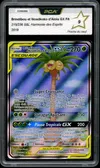 PCA 9 Brindibou et Noadkoko d’Alola Gx thumbnail 1