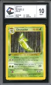 CCC 10 Chrysacier thumbnail 1