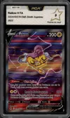 PCA 9 Raikou V thumbnail 1