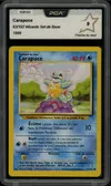 PCA 9 Carapuce thumbnail 1