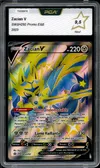 PCA 9.5 Zacian V thumbnail 1