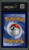 PCA 9.5 Zoroark Ex de N thumbnail 2