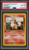 PSA 10 Caninos thumbnail 1