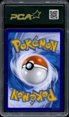 PCA 9.5 Zorua de N thumbnail 2