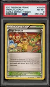 PSA 8 Plage Tropicale thumbnail 1