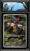 CA 9.5 Yanma thumbnail 1