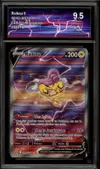 CA 9.5 Raikou V thumbnail 1