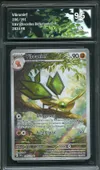 CA 9.5 Vibraninf thumbnail 1