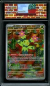 CA 10 Maracachi thumbnail 1