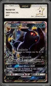 PCA 8 Noctali Gx thumbnail 1