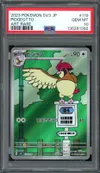 PSA 10 Pidgeotto thumbnail 1