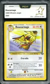PCA 8 Roucarnage thumbnail 1