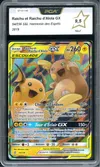 PCA 9.5 Raichu et Raichu d'Alola Gx thumbnail 1