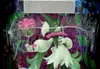 Pokébox Miascarade Ex thumbnail 4