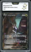 PCA 9.5 Bruyverne V thumbnail 1