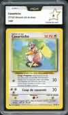 PCA 9 Canarticho thumbnail 1