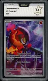 PCA 9.5 Charbambin thumbnail 1