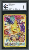 CCC 9 Pikachu thumbnail 1